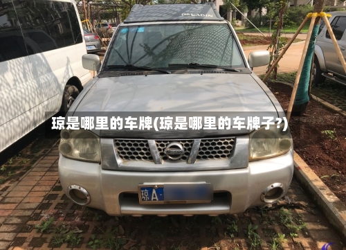 琼是哪里的车牌(琼是哪里的车牌子?)-第2张图片