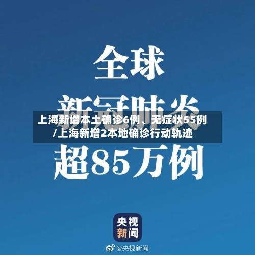 上海新增本土确诊6例、无症状55例/上海新增2本地确诊行动轨迹-第3张图片