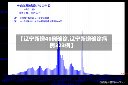 【辽宁新增40例确诊,辽宁新增确诊病例323例】-第3张图片