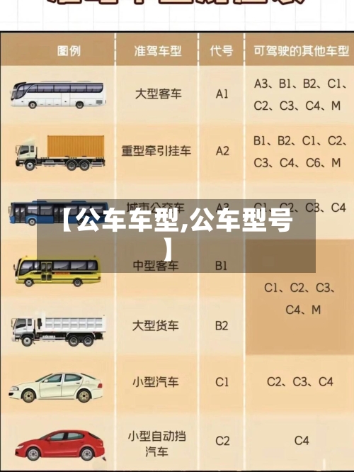 【公车车型,公车型号】