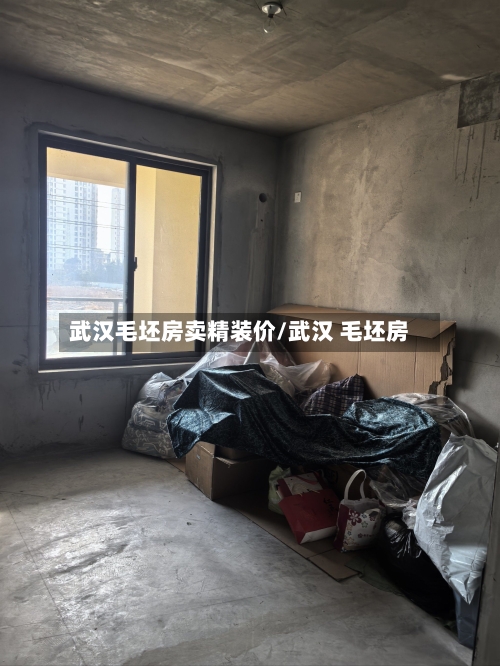 武汉毛坯房卖精装价/武汉 毛坯房