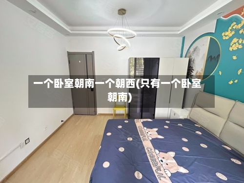 一个卧室朝南一个朝西(只有一个卧室朝南)