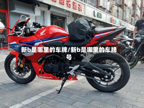 新b是哪里的车牌/新b是哪里的车牌号