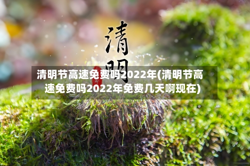 清明节高速免费吗2022年(清明节高速免费吗2022年免费几天啊现在)-第2张图片