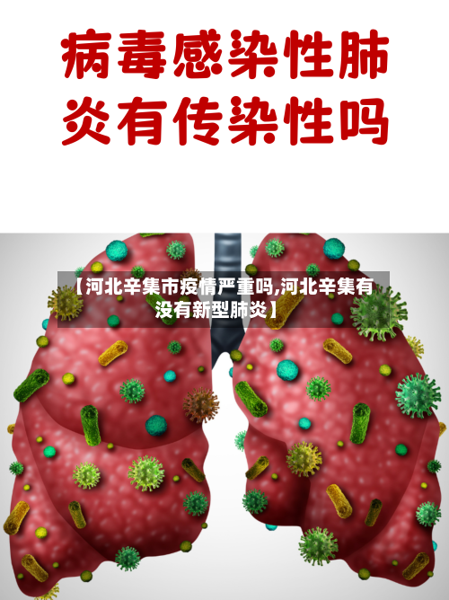 【河北辛集市疫情严重吗,河北辛集有没有新型肺炎】