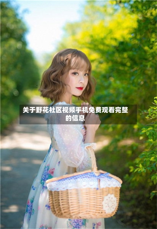 关于野花社区视频手机免费观看完整的信息