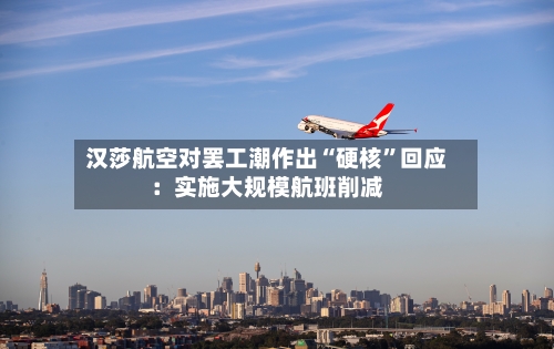 汉莎航空对罢工潮作出“硬核”回应：实施大规模航班削减-第3张图片