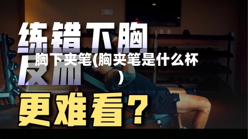 胸下夹笔(胸夹笔是什么杯)