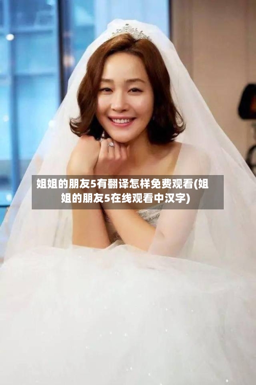 姐姐的朋友5有翻译怎样免费观看(姐姐的朋友5在线观看中汉字)-第2张图片