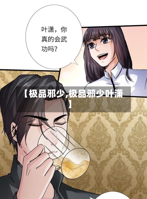 【极品邪少,极品邪少叶潇】