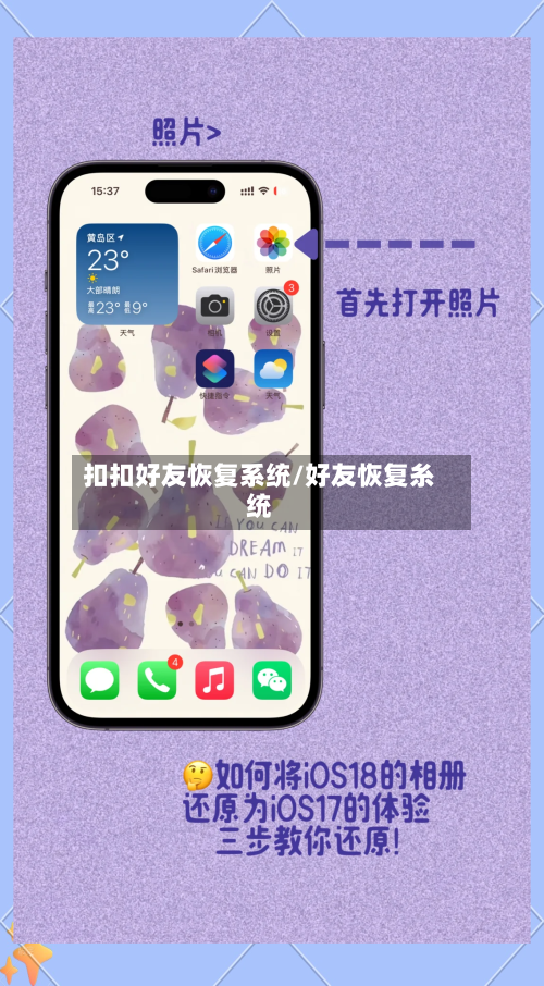 扣扣好友恢复系统/好友恢复糸统-第2张图片