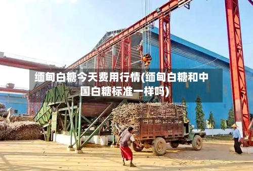 缅甸白糖今天费用行情(缅甸白糖和中国白糖标准一样吗)