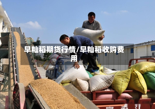 早籼稻期货行情/早籼稻收购费用