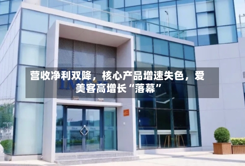 营收净利双降	，核心产品增速失色，爱美客高增长“落幕	”-第2张图片