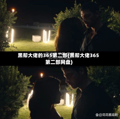 黑帮大佬的365第二部(黑帮大佬365第二部网盘)-第3张图片