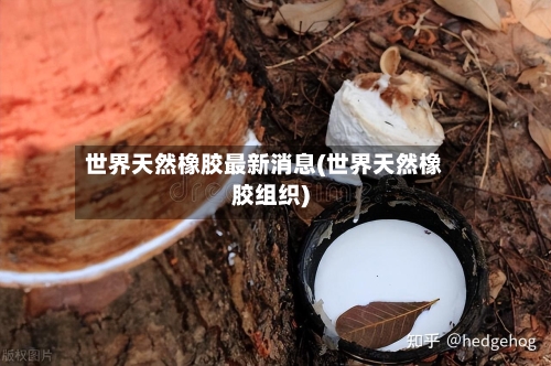 世界天然橡胶最新消息(世界天然橡胶组织)