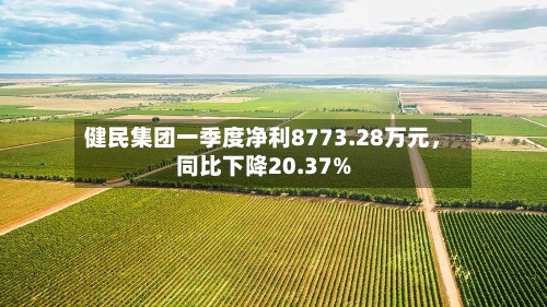 健民集团一季度净利8773.28万元	，同比下降20.37%-第3张图片