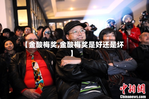 【金酸梅奖,金酸梅奖是好还是坏】-第2张图片