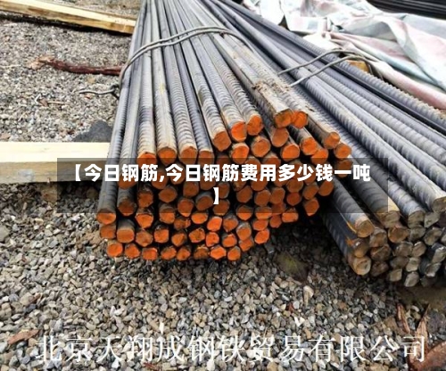 【今日钢筋,今日钢筋费用多少钱一吨】