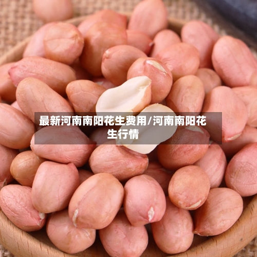 最新河南南阳花生费用/河南南阳花生行情