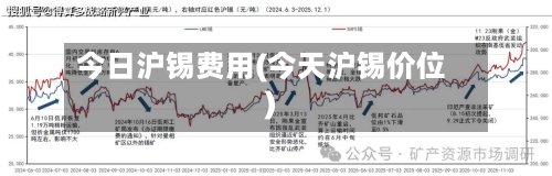 今日沪锡费用(今天沪锡价位)