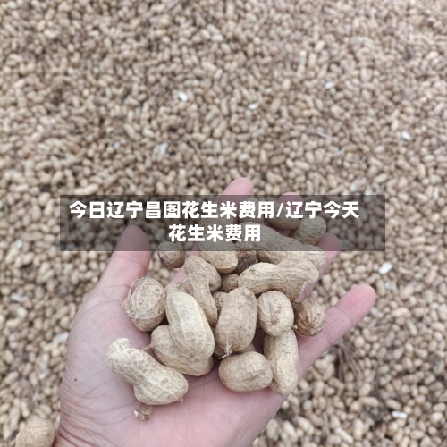 今日辽宁昌图花生米费用/辽宁今天花生米费用-第2张图片