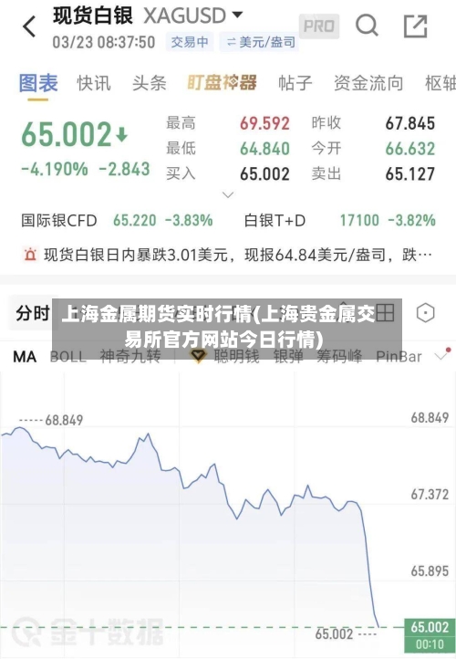 上海金属期货实时行情(上海贵金属交易所官方网站今日行情)