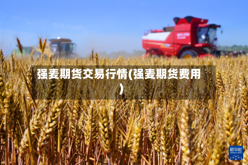 强麦期货交易行情(强麦期货费用)-第2张图片