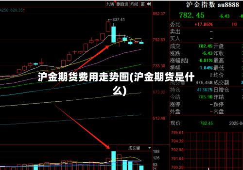 沪金期货费用走势图(沪金期货是什么)