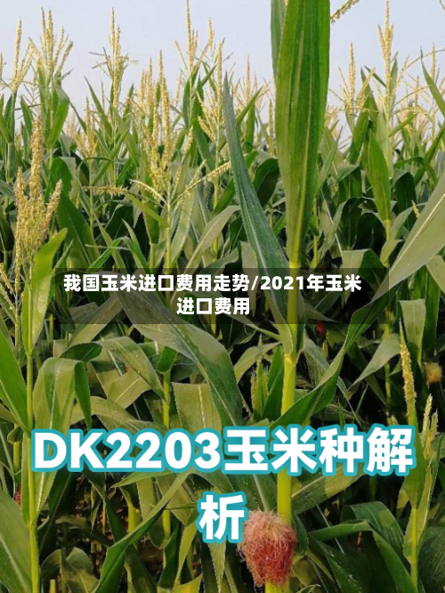 我国玉米进口费用走势/2021年玉米进口费用