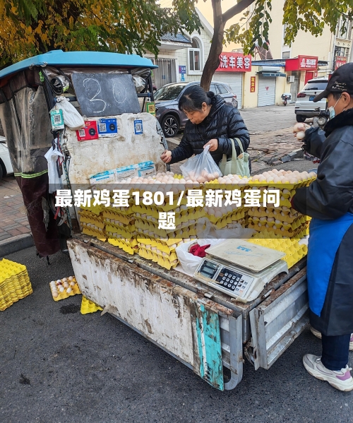 最新鸡蛋1801/最新鸡蛋问题