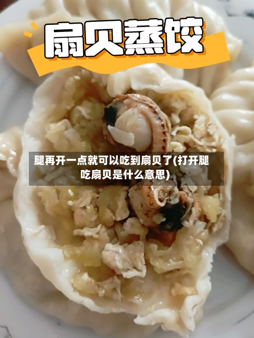 腿再开一点就可以吃到扇贝了(打开腿吃扇贝是什么意思)-第2张图片