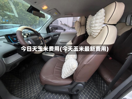 今日天玉米费用(今天玉米最新费用)-第2张图片