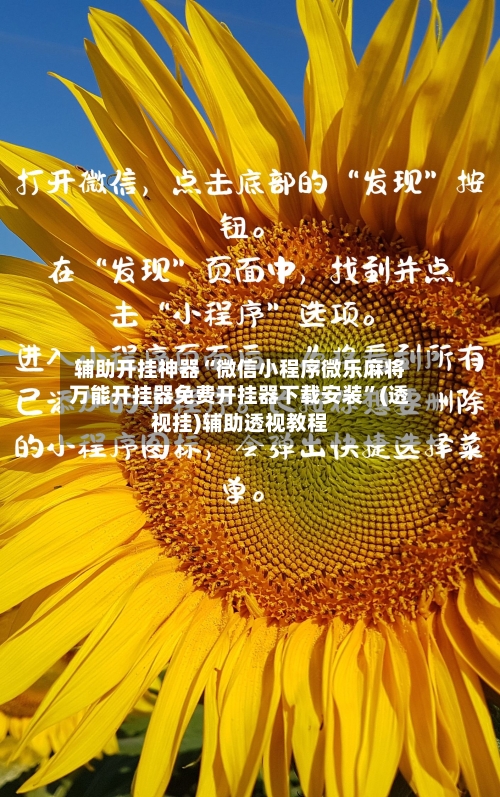 辅助开挂神器“微信小程序微乐麻将万能开挂器免费开挂器下载安装”(透视挂)辅助透视教程-第2张图片