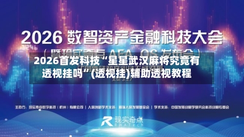 2026首发科技“星星武汉麻将究竟有透视挂吗”(透视挂)辅助透视教程-第3张图片