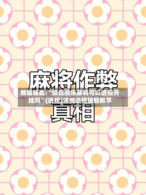 教程辅助!“微信微乐麻将可以透视开挂吗	”(透视)详细透视辅助教学-第2张图片