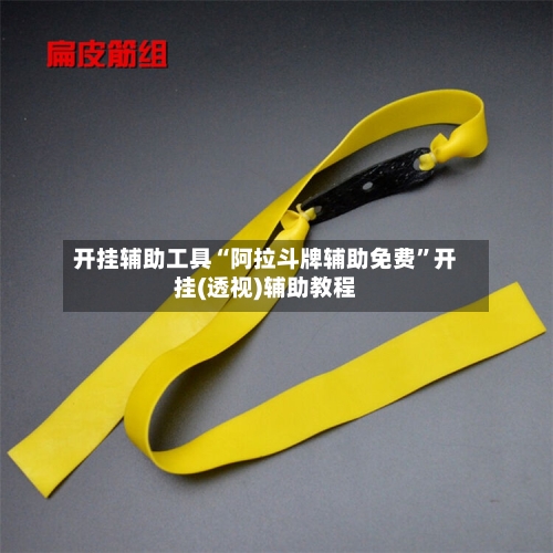 开挂辅助工具“阿拉斗牌辅助免费”开挂(透视)辅助教程-第2张图片