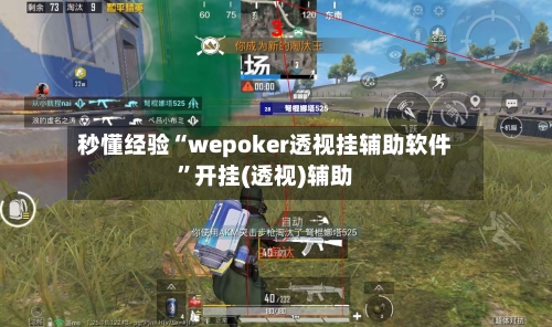 秒懂经验“wepoker透视挂辅助软件”开挂(透视)辅助-第2张图片