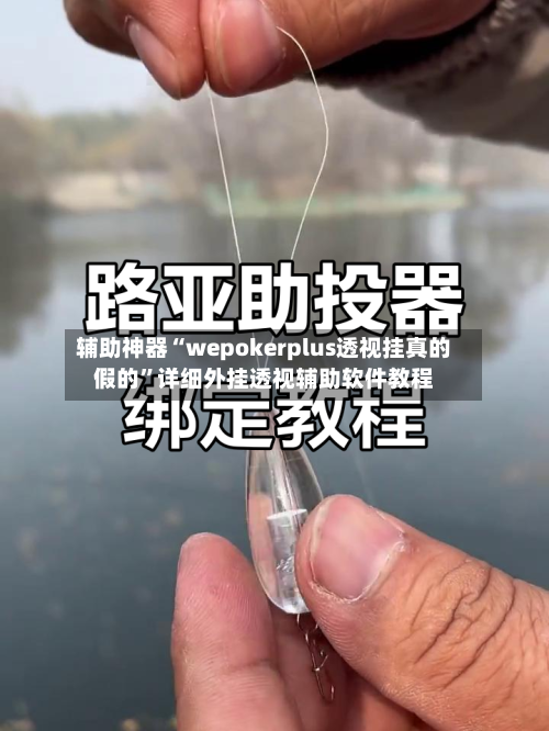 辅助神器“wepokerplus透视挂真的假的”详细外挂透视辅助软件教程-第2张图片