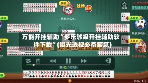 万能开挂辅助“多乐够级开挂辅助软件下载”(曝光透视必备猫腻)-第3张图片