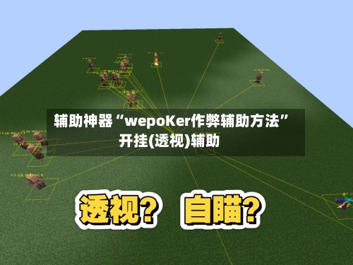 辅助神器“wepoKer作弊辅助方法”开挂(透视)辅助-第3张图片
