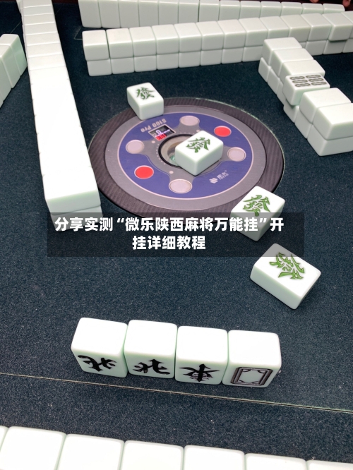 分享实测“微乐陕西麻将万能挂”开挂详细教程-第2张图片