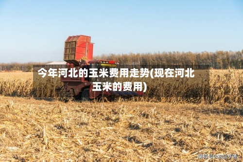 今年河北的玉米费用走势(现在河北玉米的费用)-第2张图片