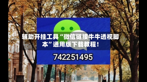 辅助开挂工具“微信链接牛牛透视脚本	”通用版下载教程！-第2张图片