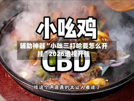 辅助神器“小吆三打哈要怎么开挂”2026透视开挂-第2张图片