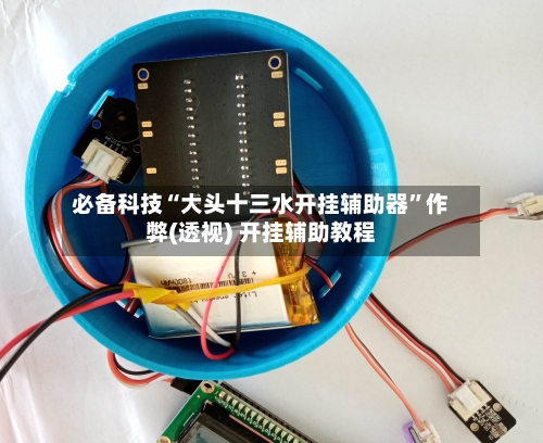 必备科技“大头十三水开挂辅助器	”作弊(透视) 开挂辅助教程-第2张图片