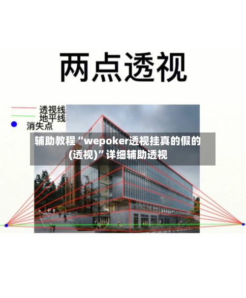 辅助教程“wepoker透视挂真的假的(透视)”详细辅助透视-第2张图片