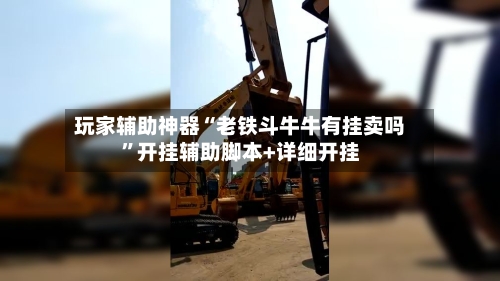 玩家辅助神器“老铁斗牛牛有挂卖吗”开挂辅助脚本+详细开挂-第2张图片