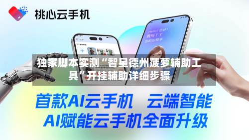 独家脚本实测“智星德州菠萝辅助工具”开挂辅助详细步骤-第3张图片