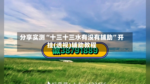 分享实测“十三十三水有没有辅助	”开挂(透视)辅助教程-第2张图片